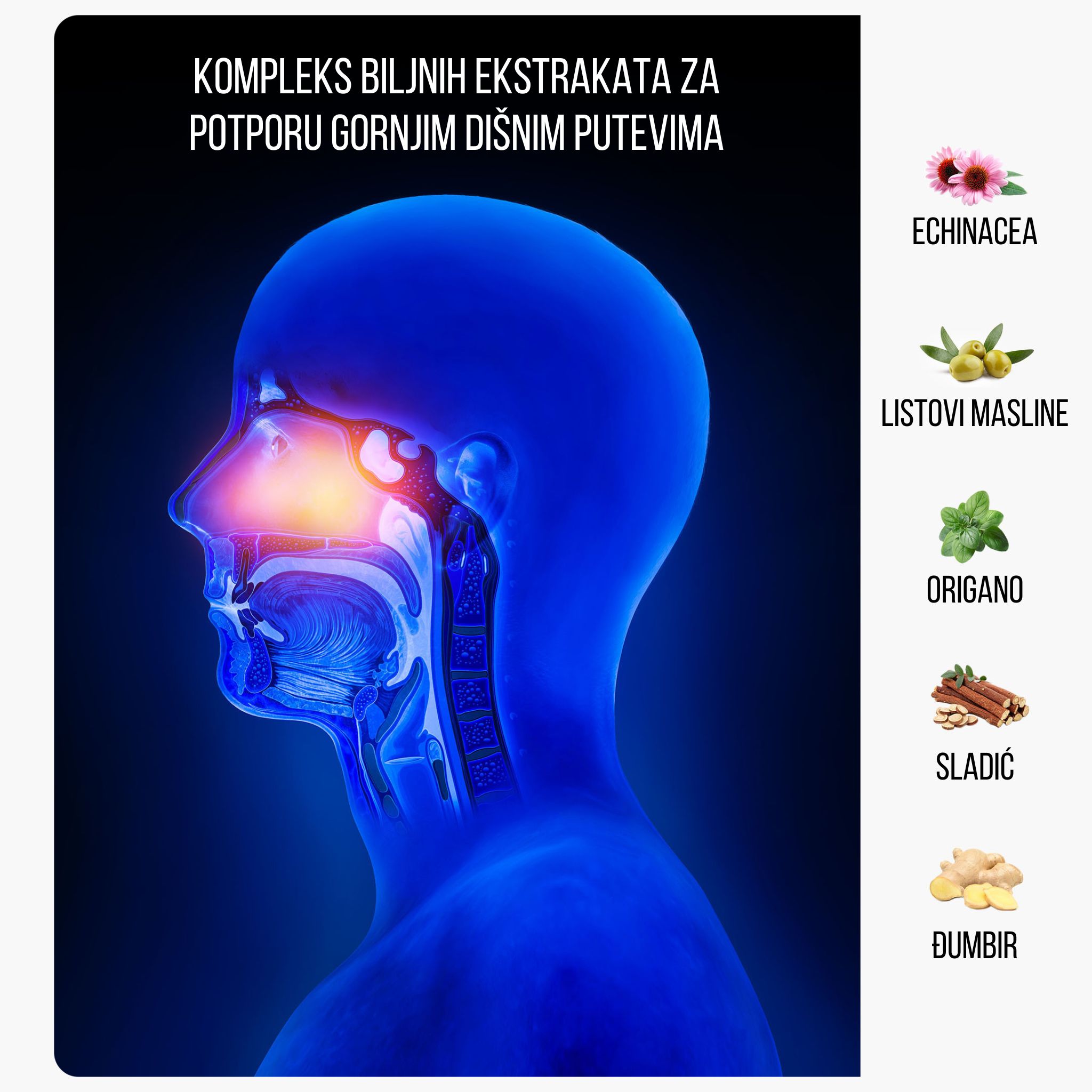 (Chorvatština) bylinne extrakty